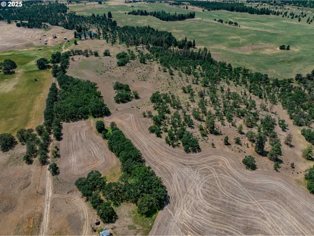 a view of a garden with a lot of trees and pathway