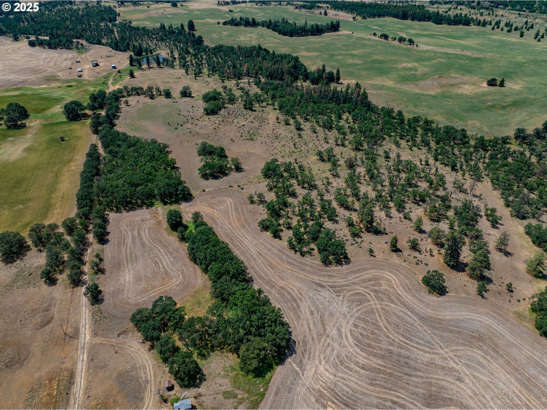 Friend Road Dufur, OR 97021 - Photo 6 of 32 a view of a garden with a lot of trees and pathway