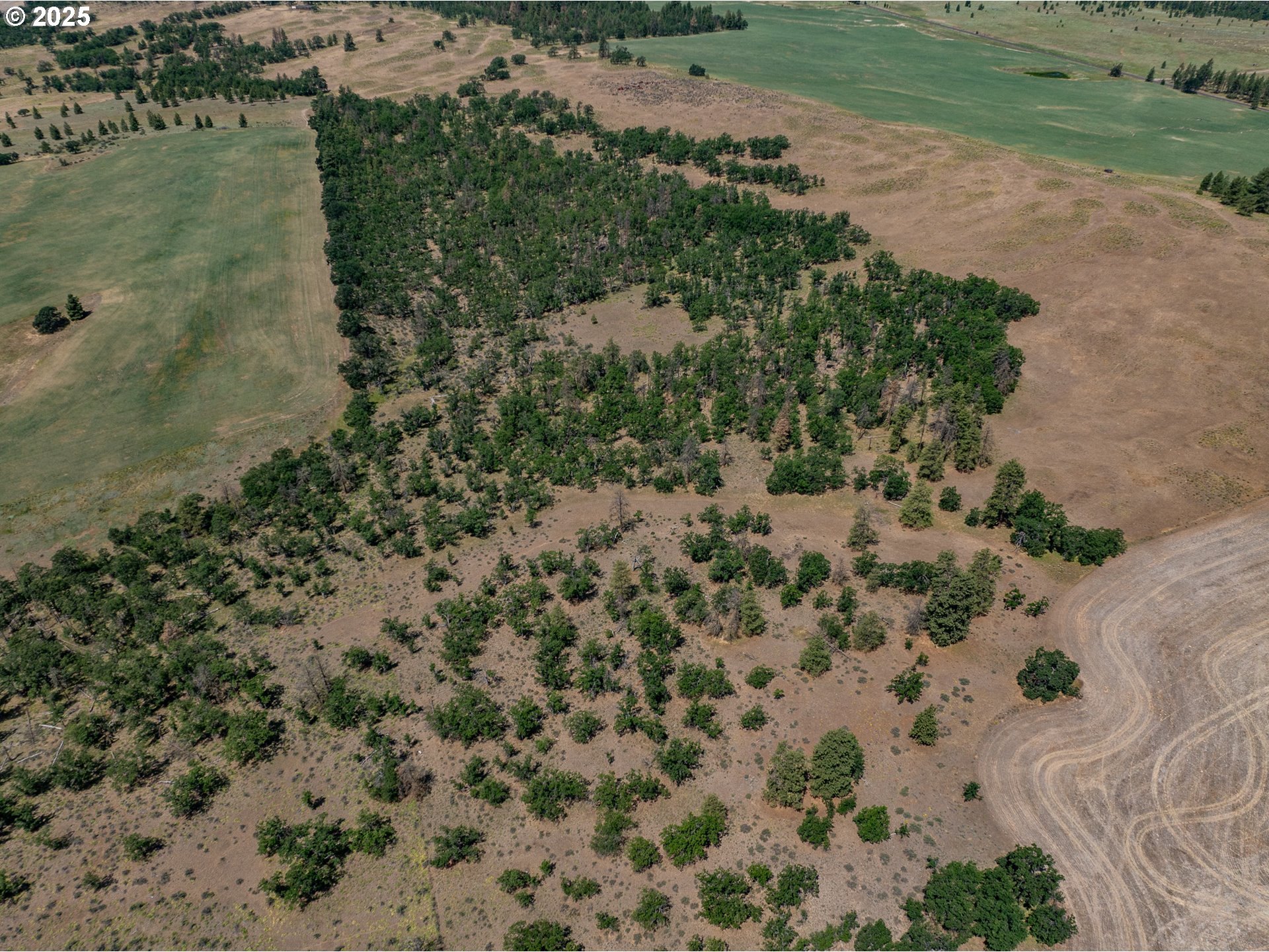 Friend Road Dufur, OR 97021 - Photo 7 of 32 an aerial view of a house with a yard