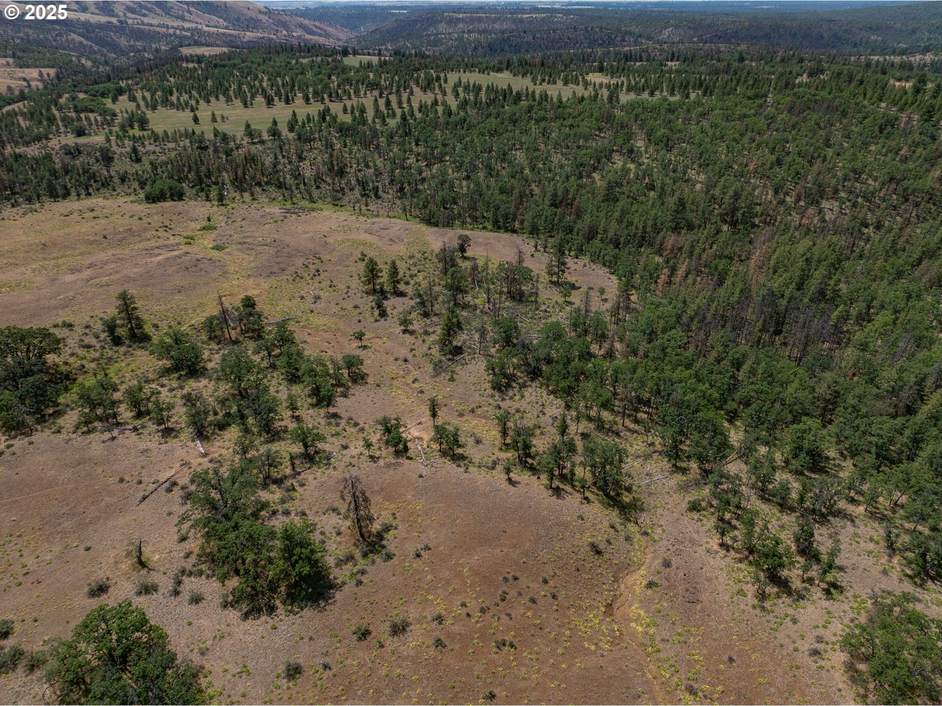 Friend Road Dufur, OR 97021 - Photo 9 of 32 a view of a yard with a sink