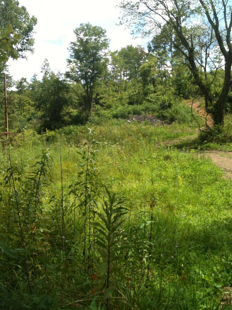 2500 Sasser Road London, KY 40744 - Photo 1 of 11 Primary Photo