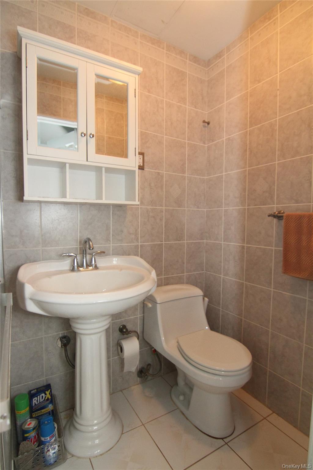191 Sylvan Lake Road, Unit 16 Hopewell Junction, NY 12533 - Photo 22 of 34 a bathroom with a sink a toilet and mirror