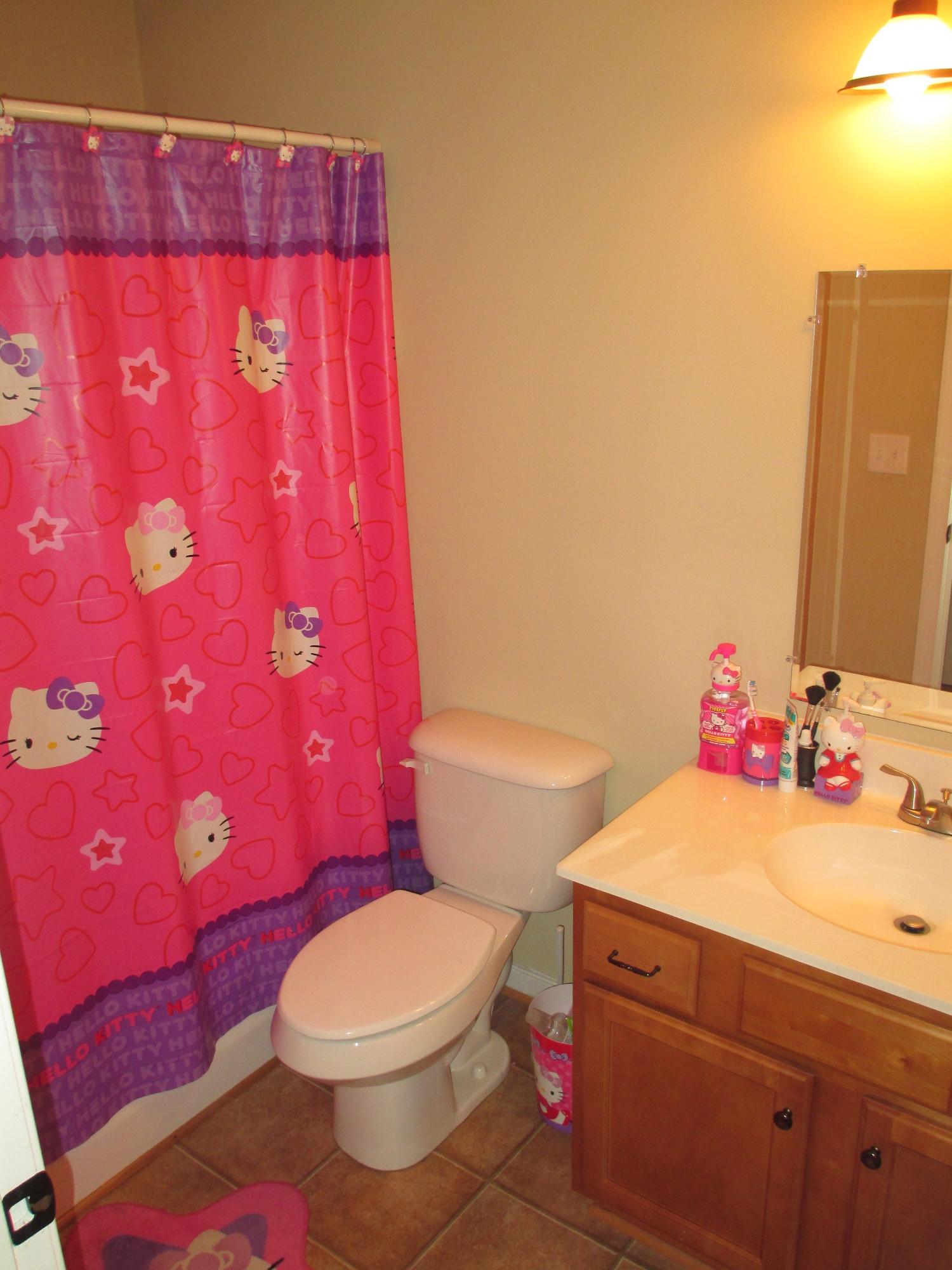 97 Valley Road Hardy, VA 24101 - Photo 20 of 43 Hall / Guest bathroom