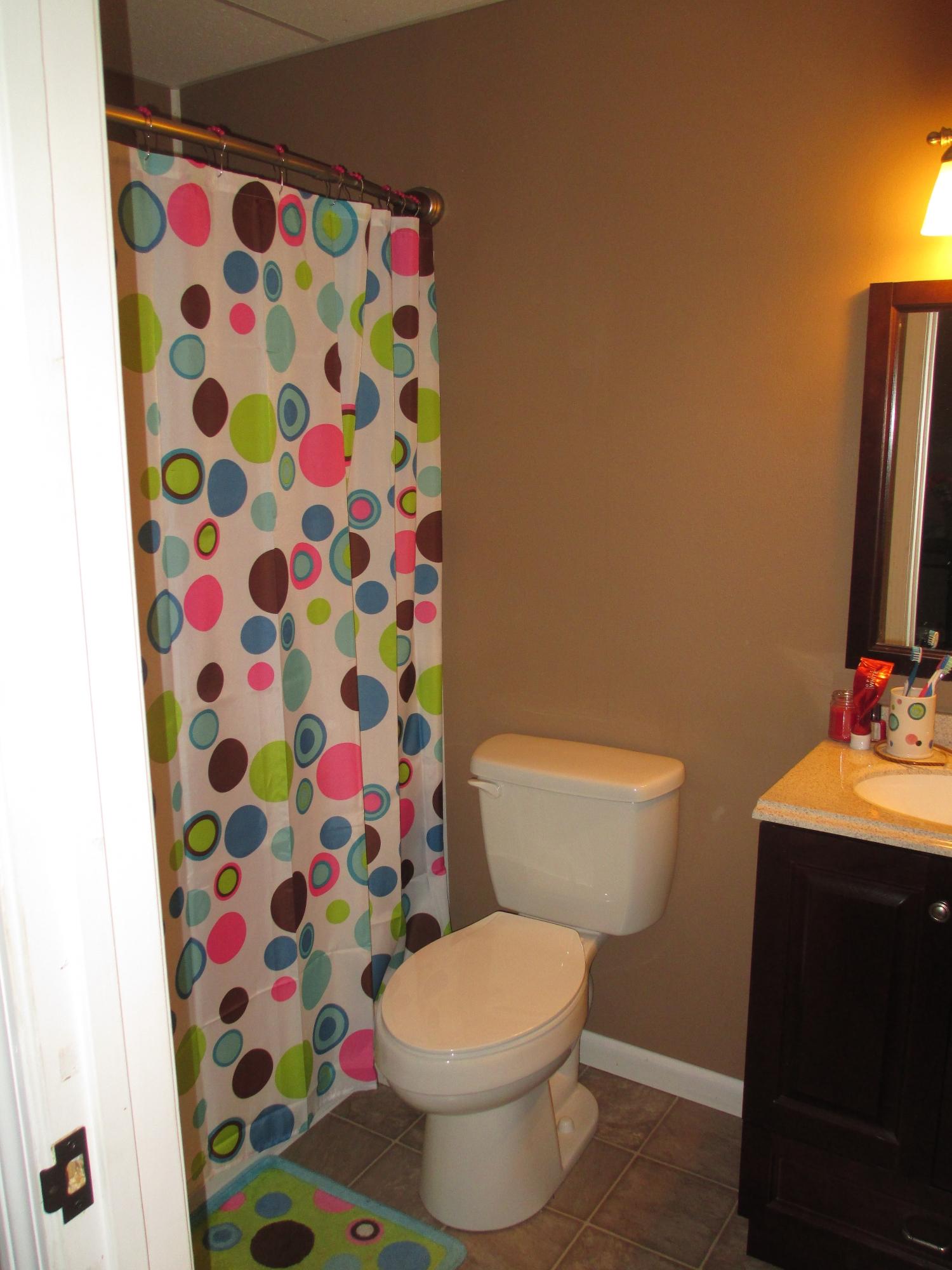 97 Valley Road Hardy, VA 24101 - Photo 23 of 43 3rd full bathroom downstairs