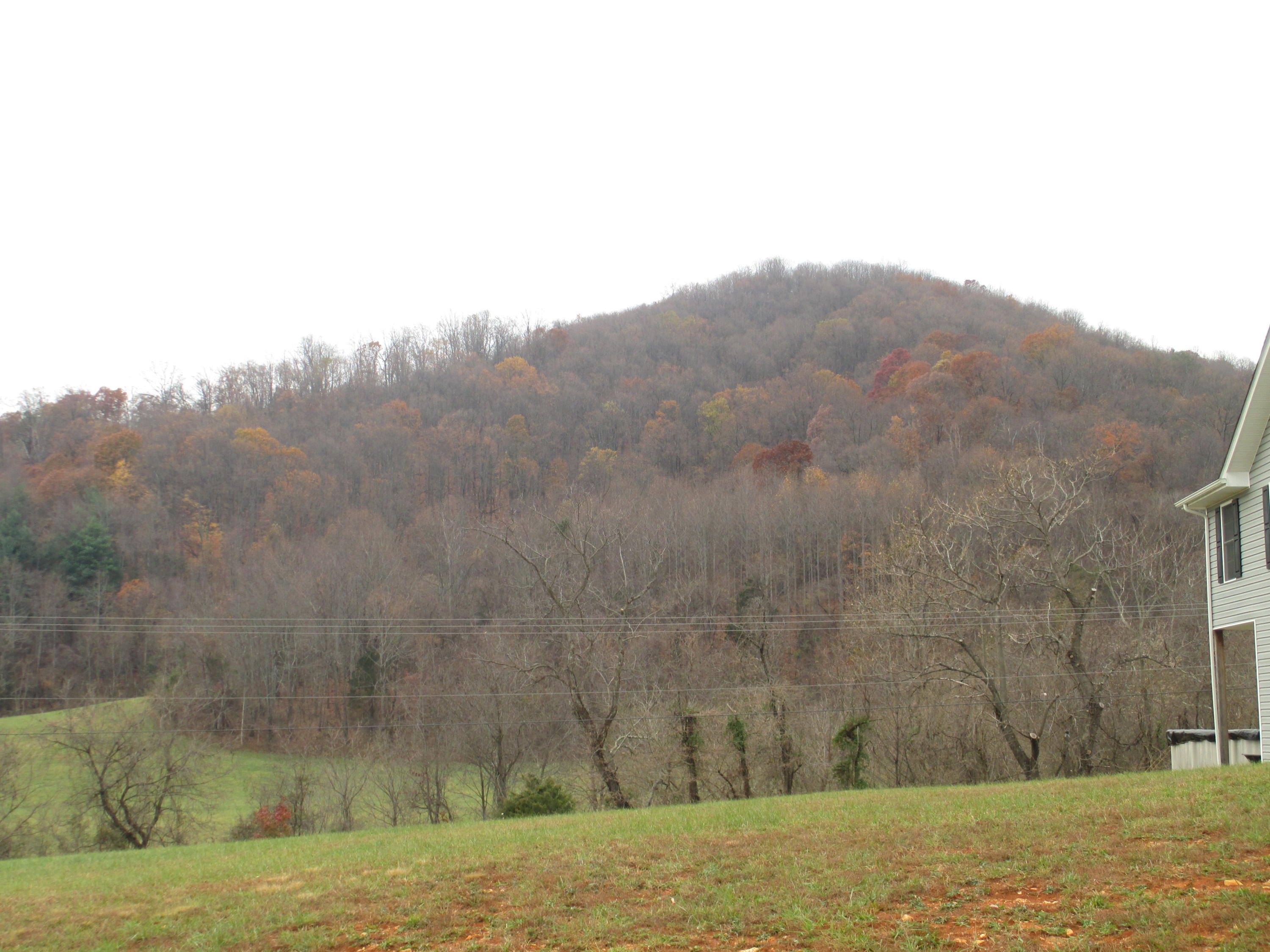 97 Valley Road Hardy, VA 24101 - Photo 36 of 43 Mountain views from home