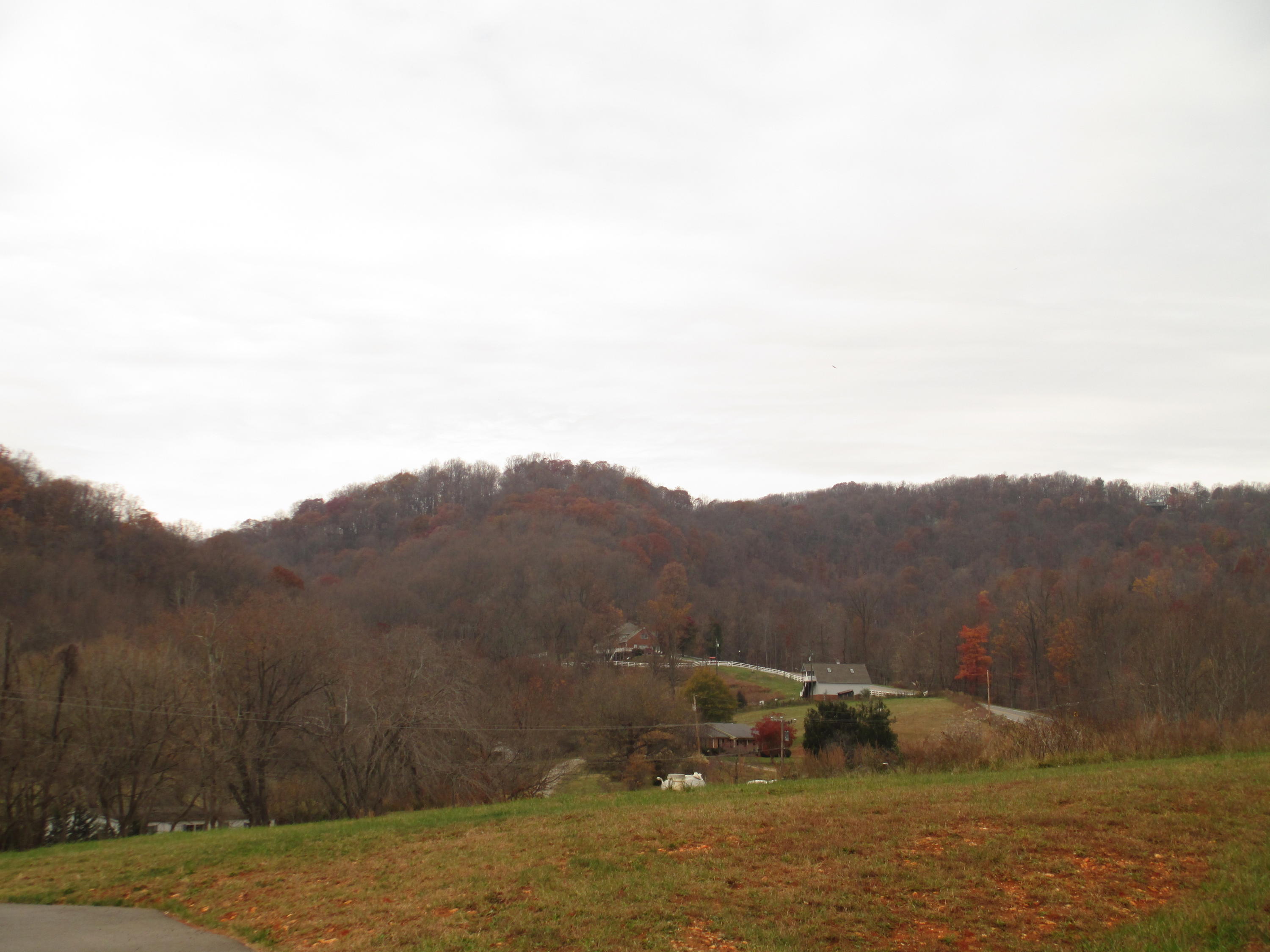 97 Valley Road Hardy, VA 24101 - Photo 38 of 43 View from home