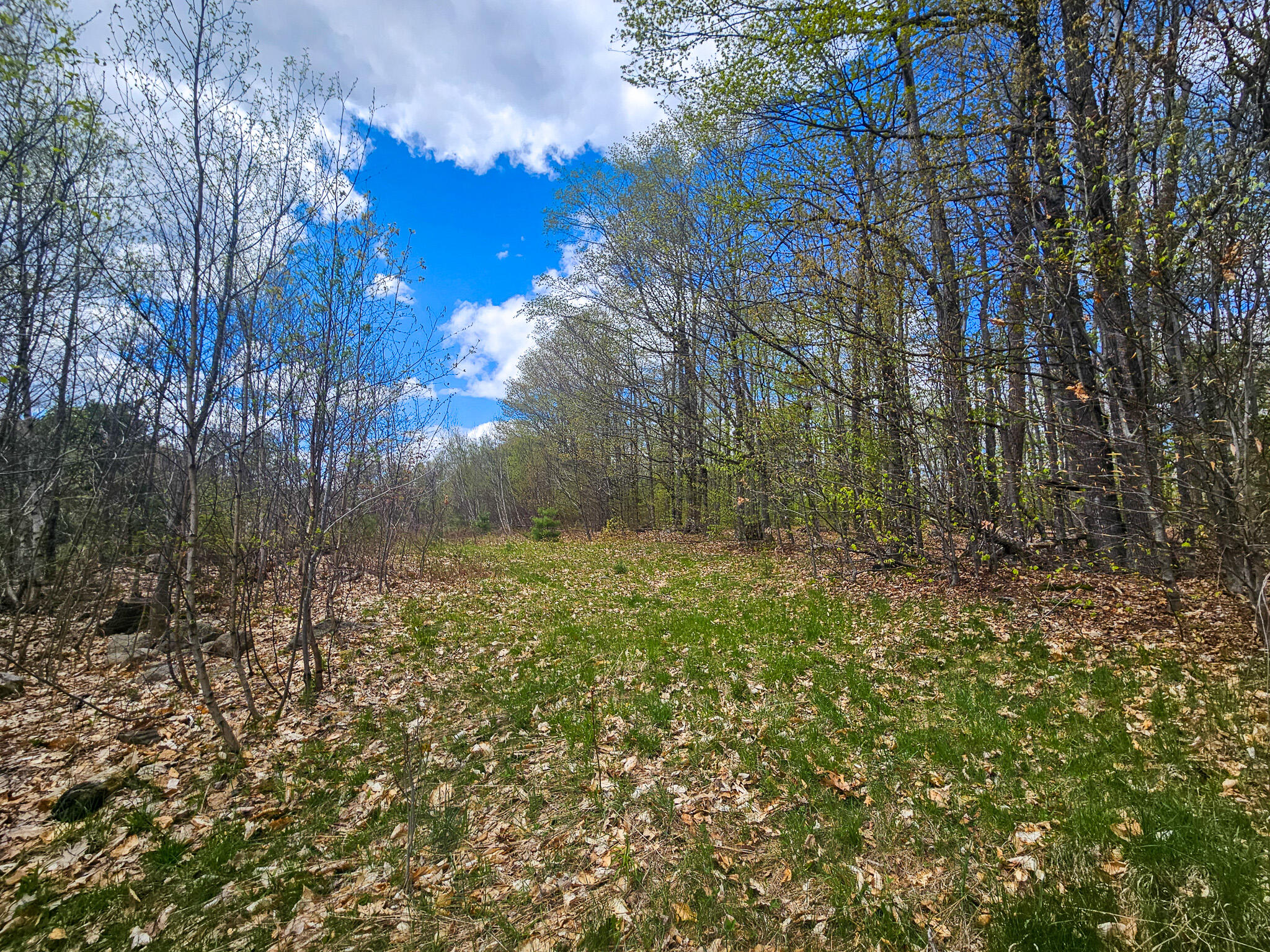 451 Morse Hill Road Jay, ME 04239 - Photo 71 of 79