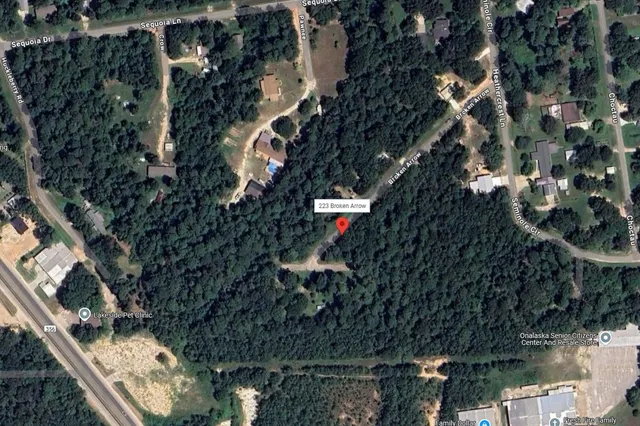 a view of a yard with a tree