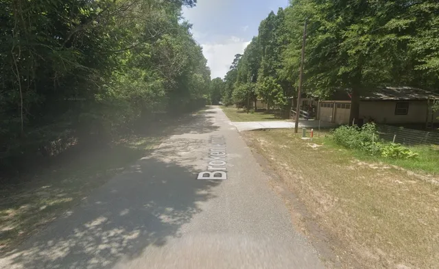 a view of yard and tree