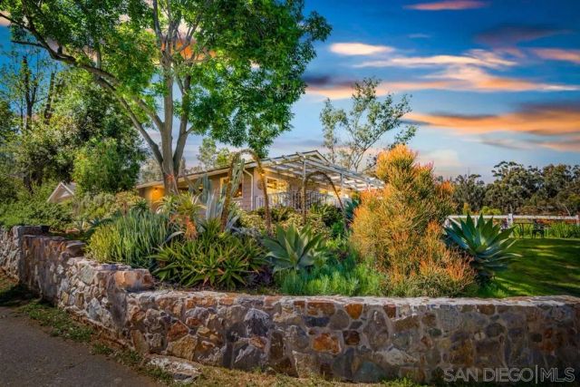 a view of a yard with plants and a bench