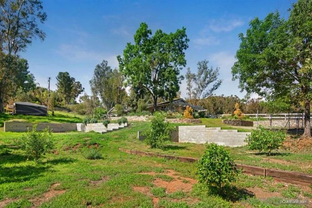 a view of yard with green space