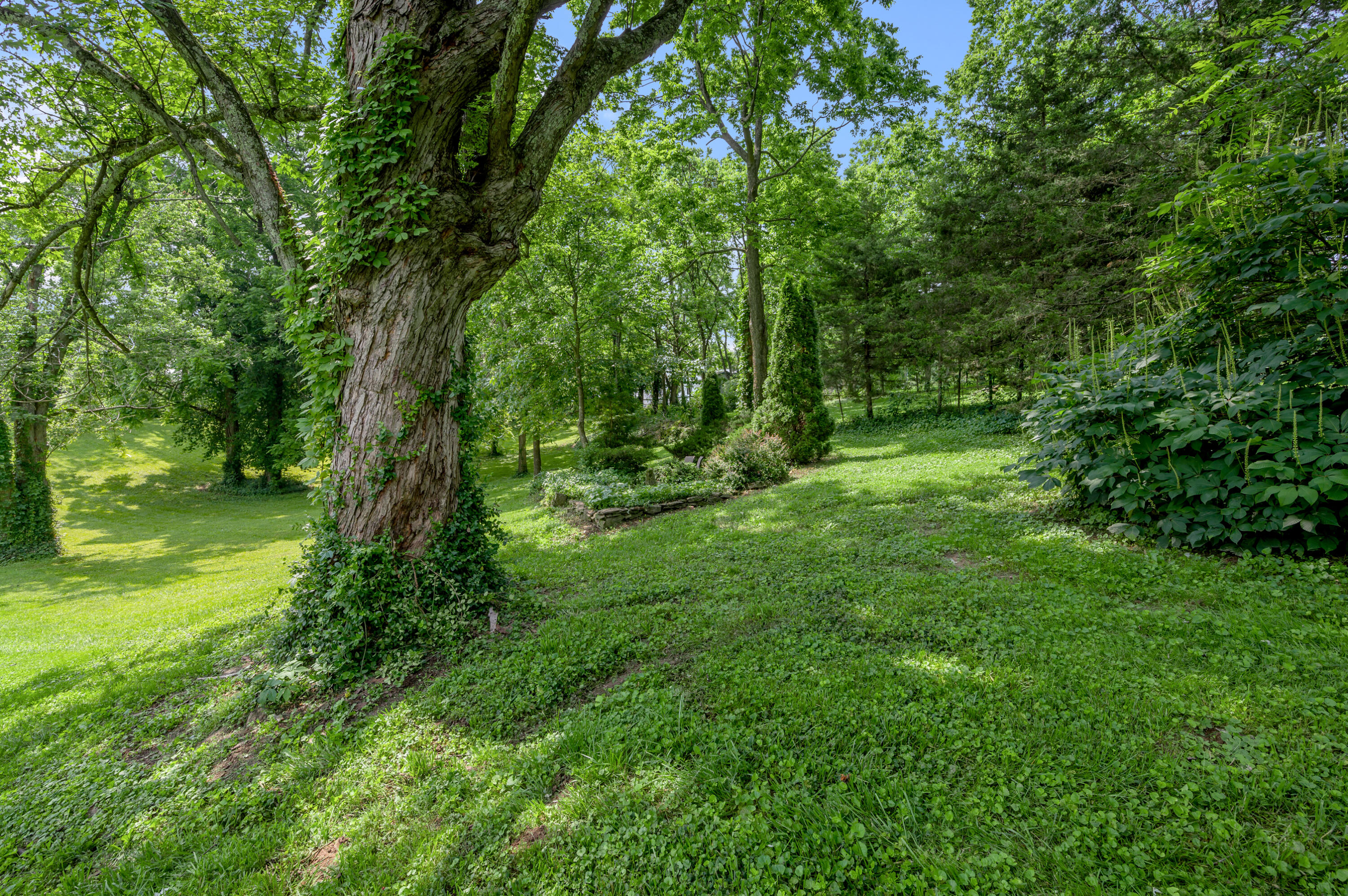 2968 Delong Road Lexington, KY 40515 - Photo 100 of 104 TDB_4919