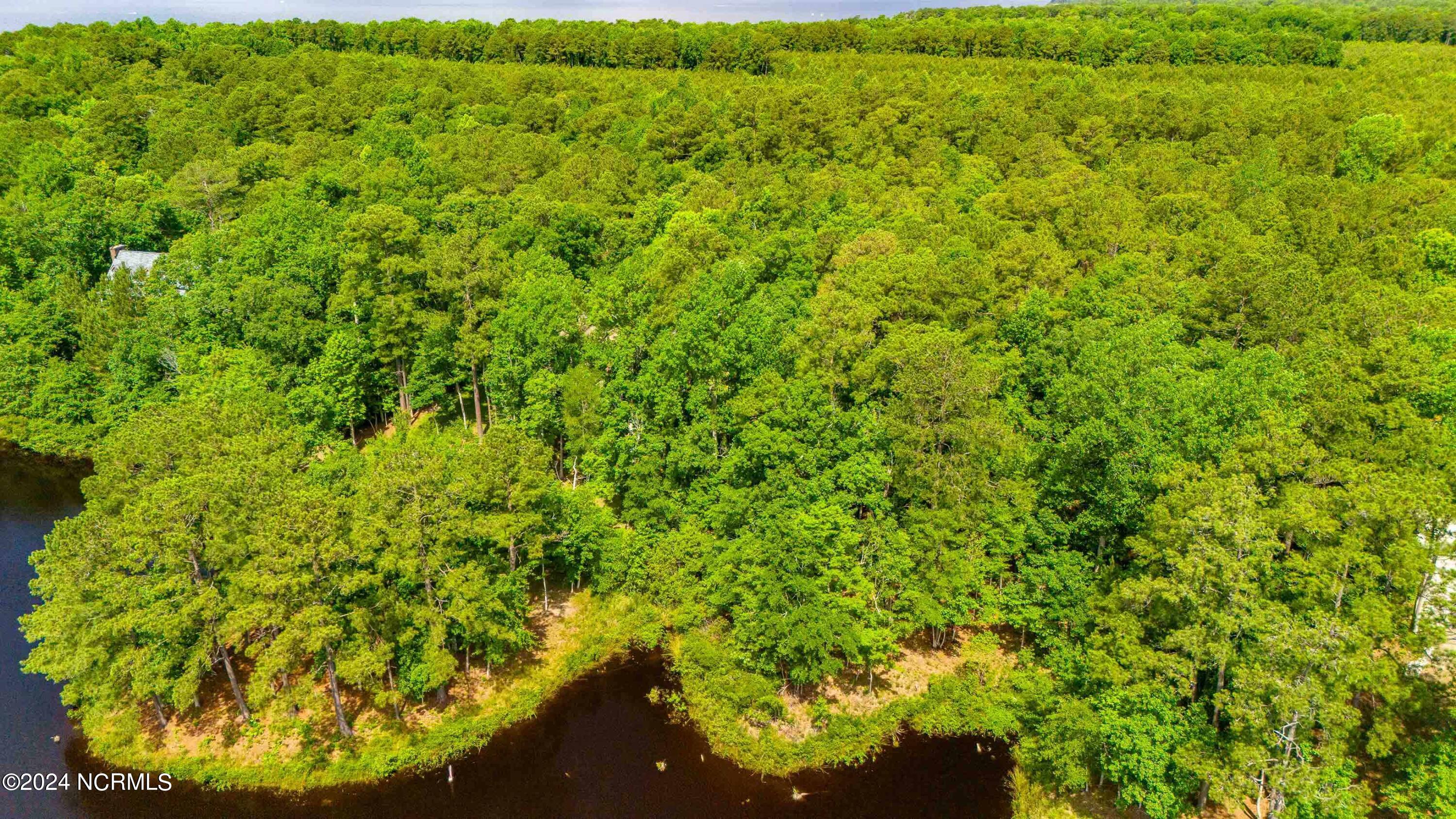 6 Elizabeth Road Arapahoe, NC 28510 - Photo 19 of 23 013_Chill Photo Aerials25