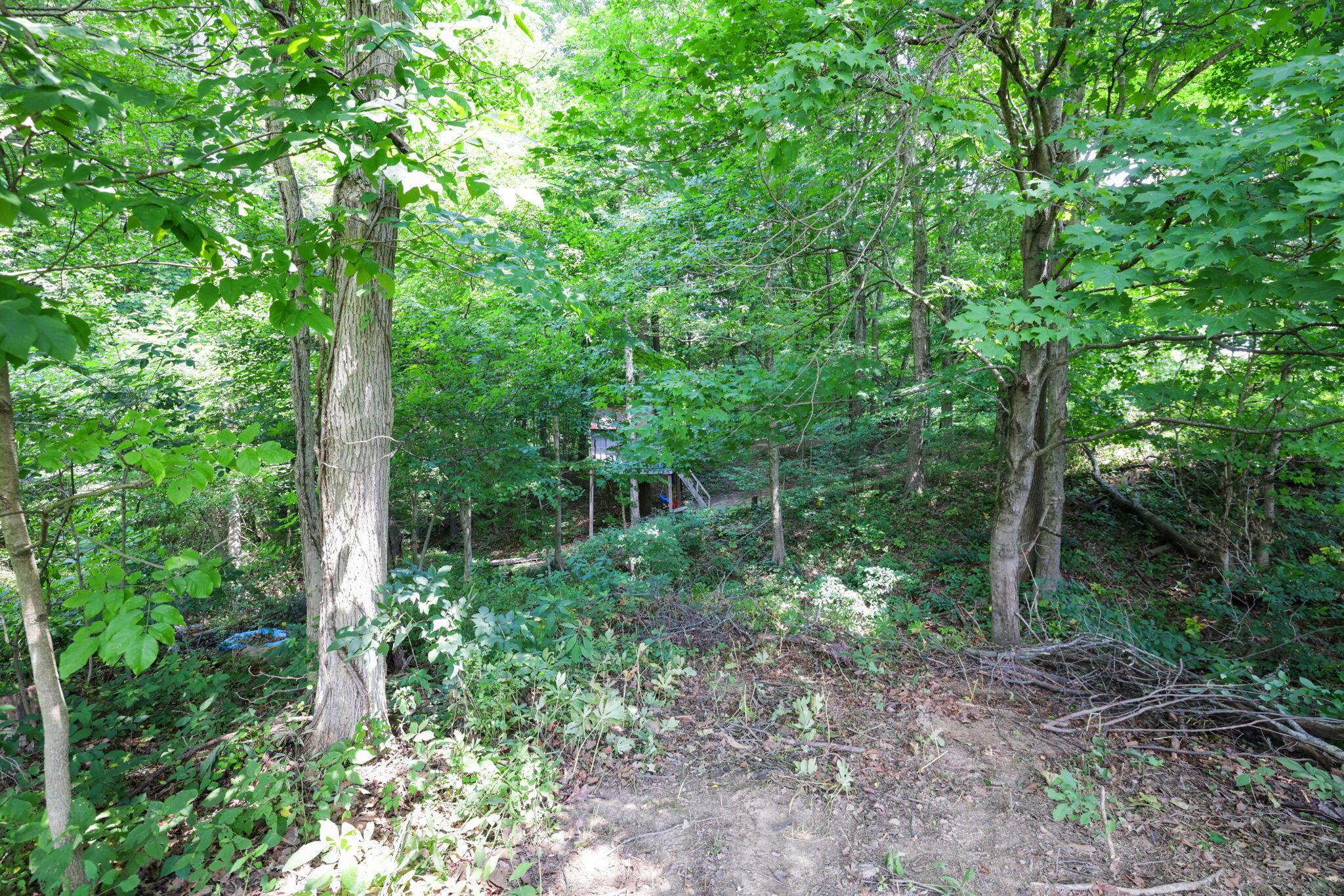 24629 Huffines Road Rockbridge, OH 43149 - Photo 40 of 46 Ravine Leading to Treehouse