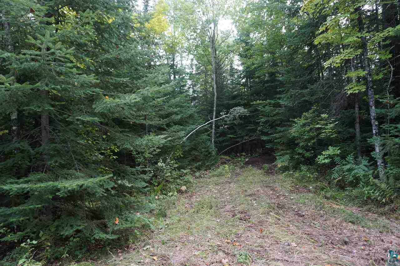 Lot 1 South Rockmont Road Poplar, WI 54864 - Photo 3 of 6