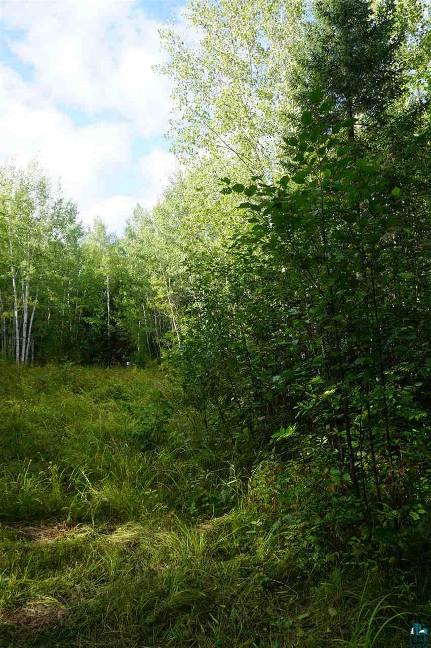 Lot 1 South Rockmont Road Poplar, WI 54864 - Photo 4 of 6