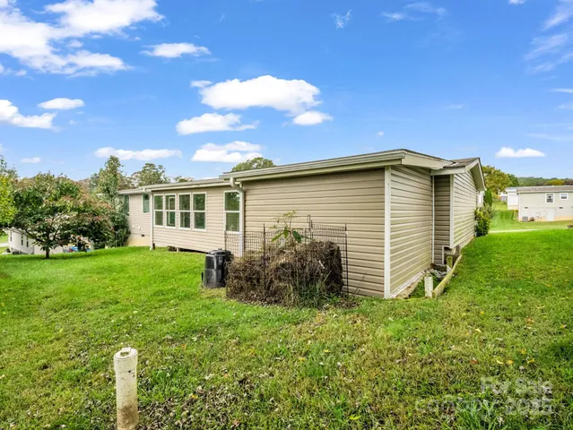 a view of a backyard with plants and large trees