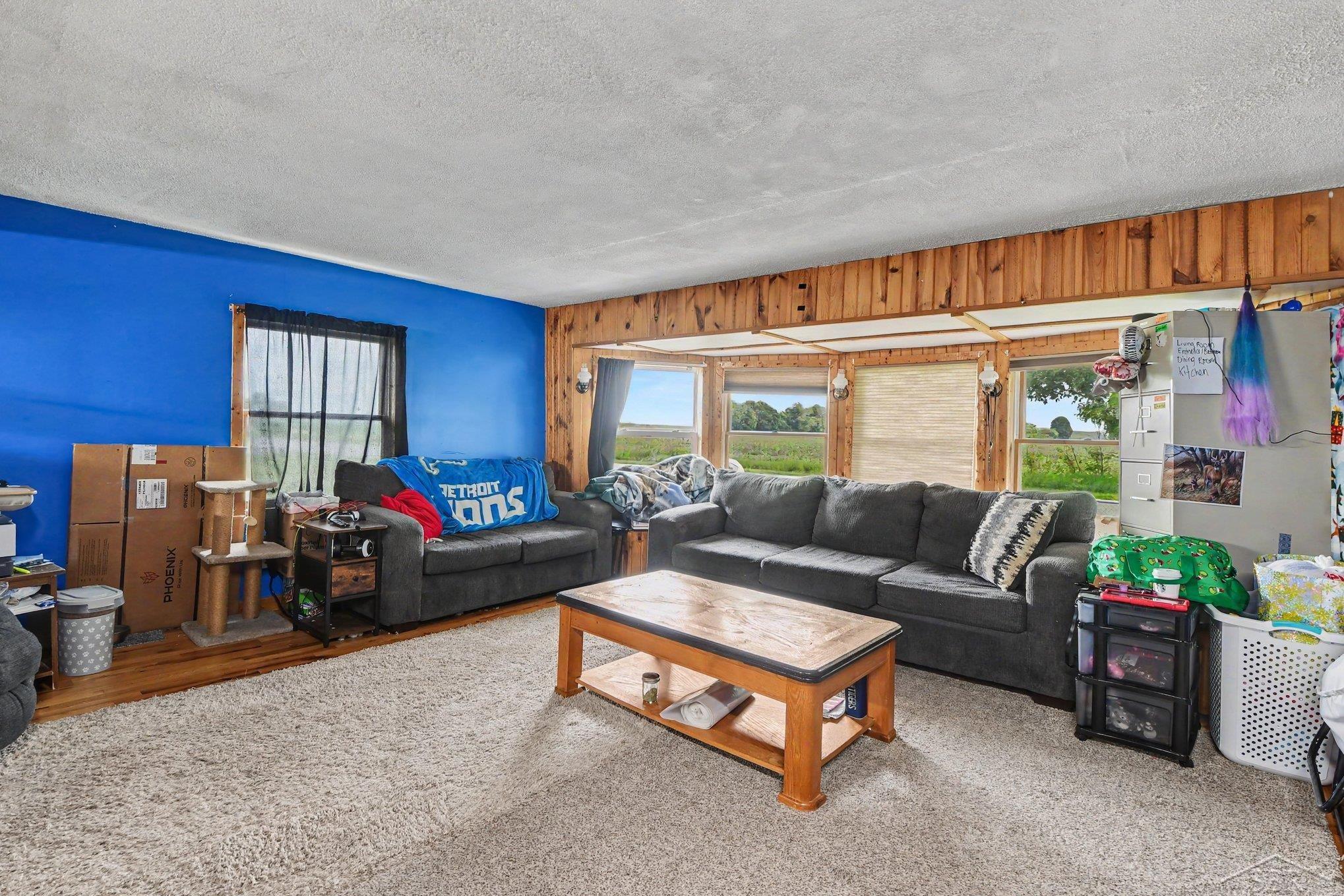 10602 Jordan Lake Road Lake Odessa, MI 48849 - Photo 5 of 27