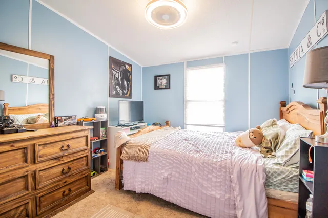 a bedroom with a bed and a dresser in it