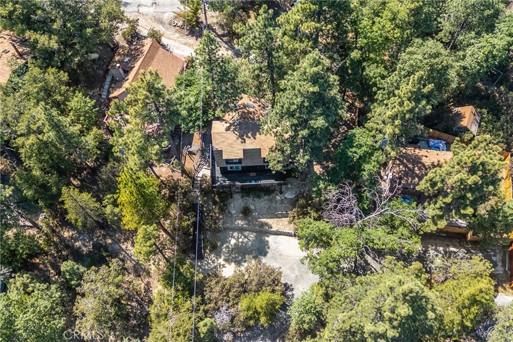 24875 Marion Ridge Drive Idyllwild, CA 92549 - Photo 45 of 48