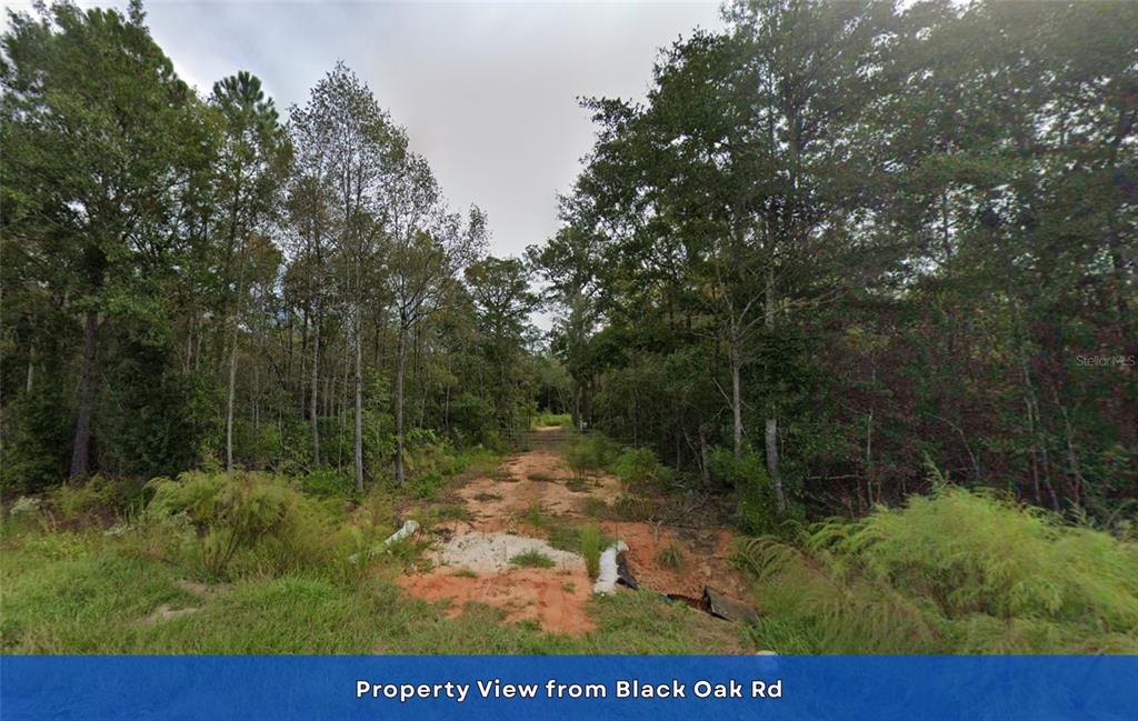 4536 Black Oak Road Milton, FL 32583 - Photo 11 of 17