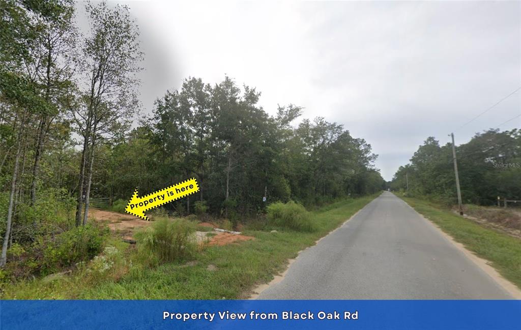 4536 Black Oak Road Milton, FL 32583 - Photo 12 of 17