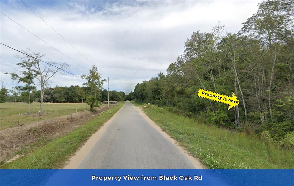 4536 Black Oak Road Milton, FL 32583 - Photo 13 of 17