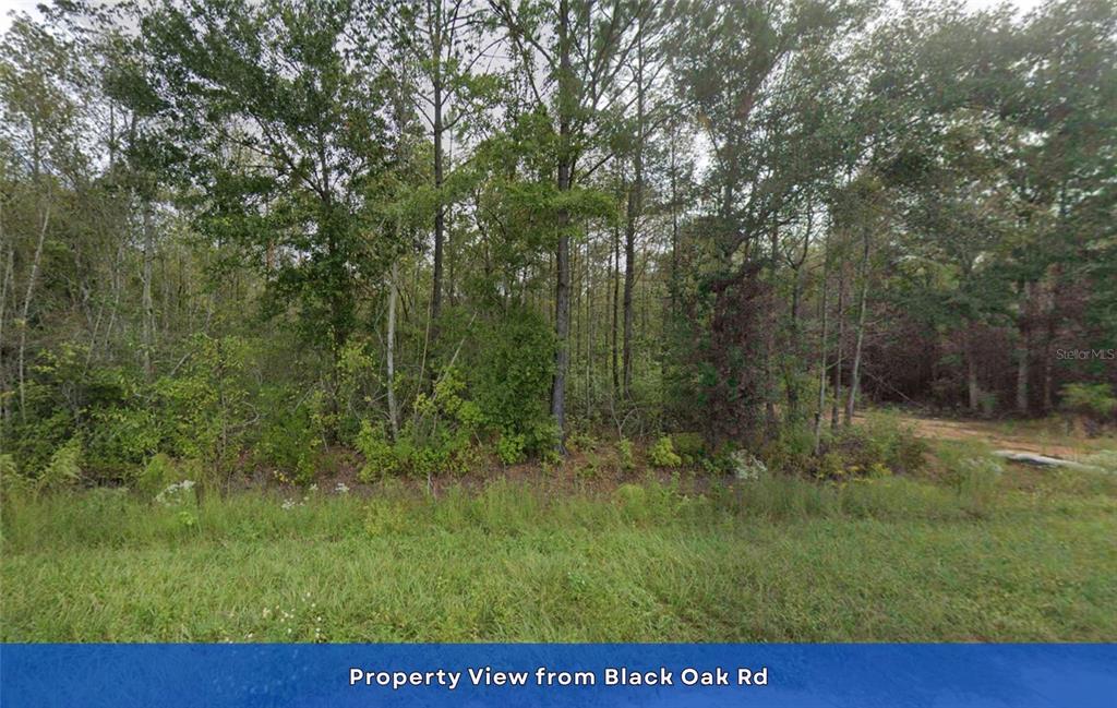 4536 Black Oak Road Milton, FL 32583 - Photo 10 of 17