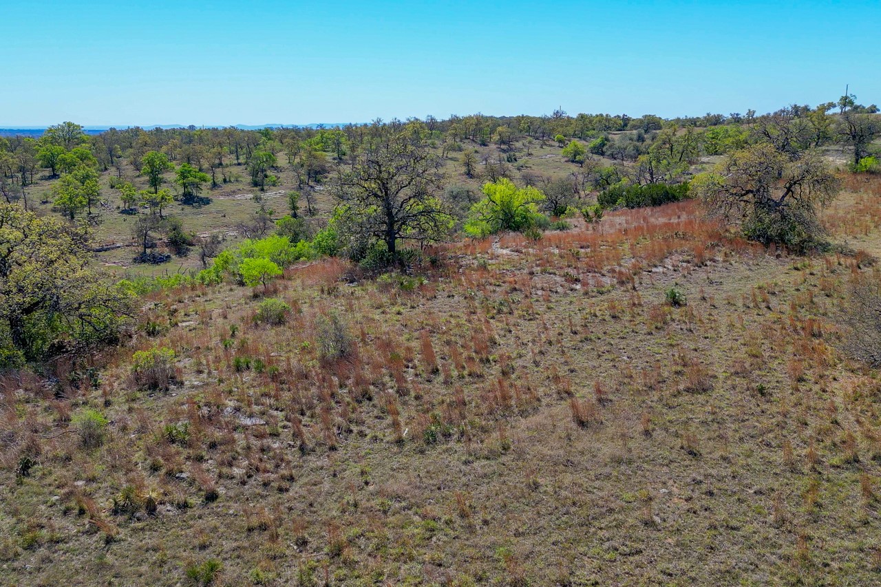 Tbd Tbd Smith West Road Johnson City, TX 78636 - Photo 13 of 36 View of nature