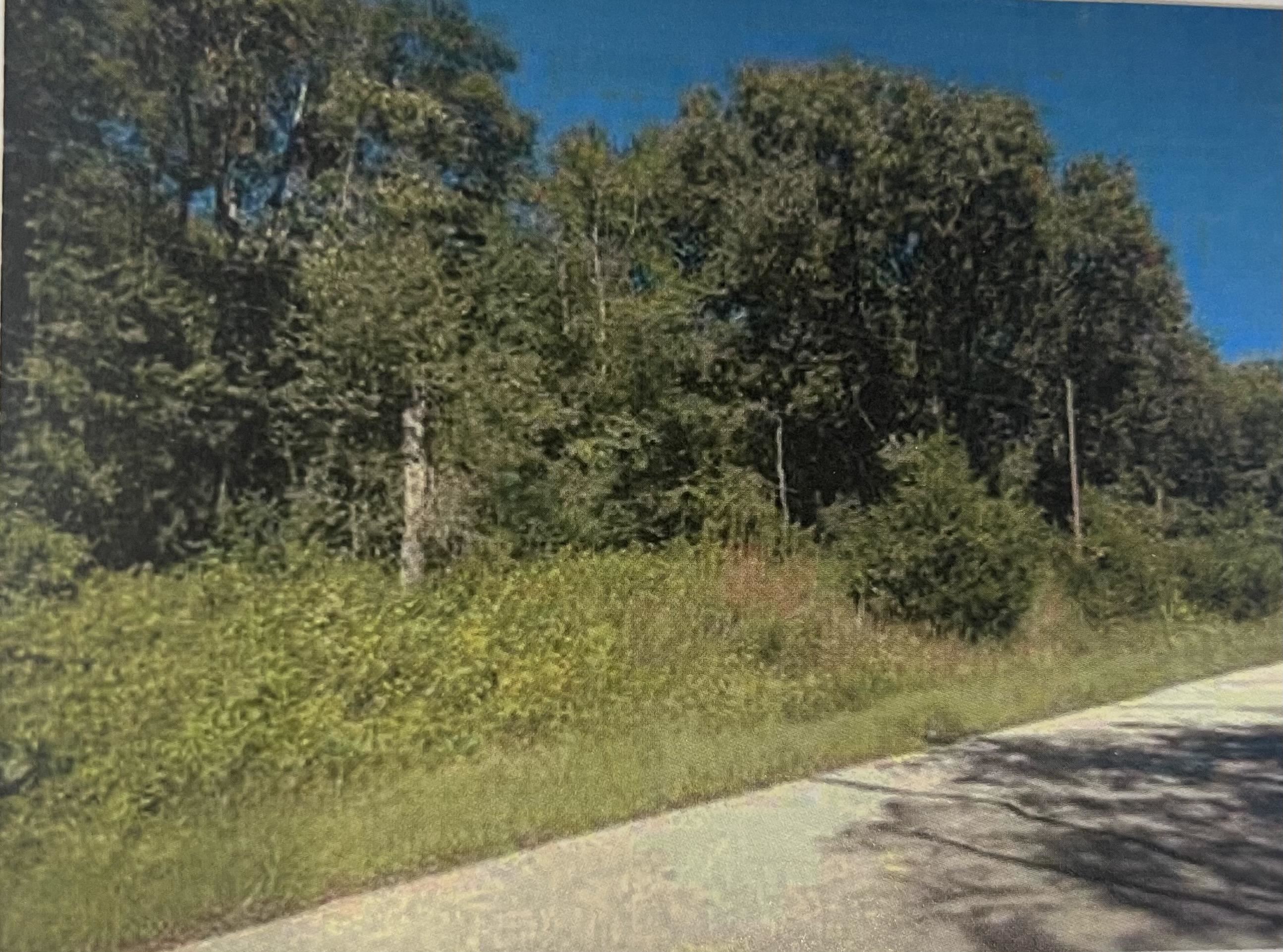 Hwy 81-carroll Lots Orfordville, WI 53576 - Photo 6 of 12