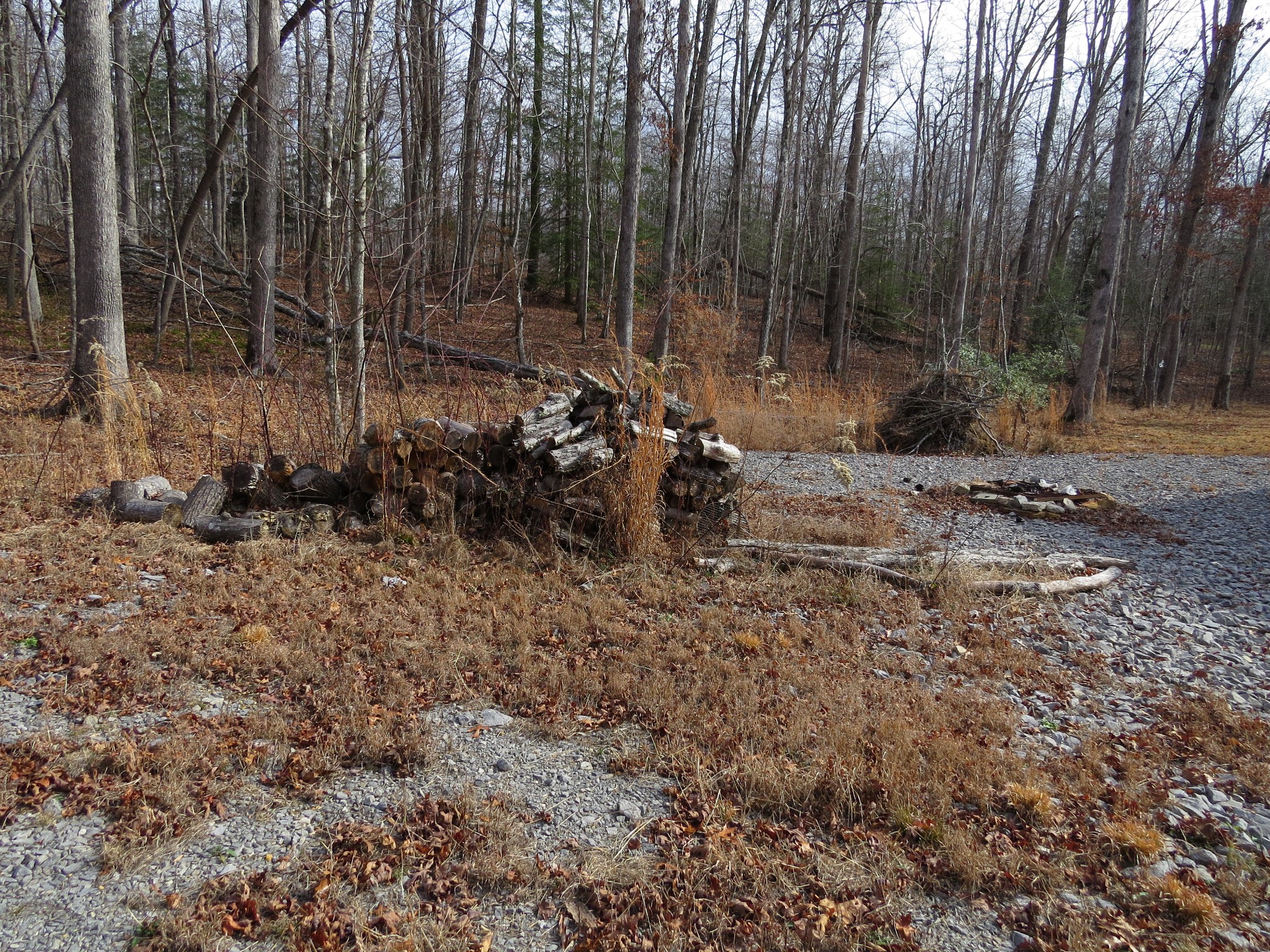 4345 Chapel Hill Road Crawford, TN 38554 - Photo 14 of 15 a view of outdoor space and yard