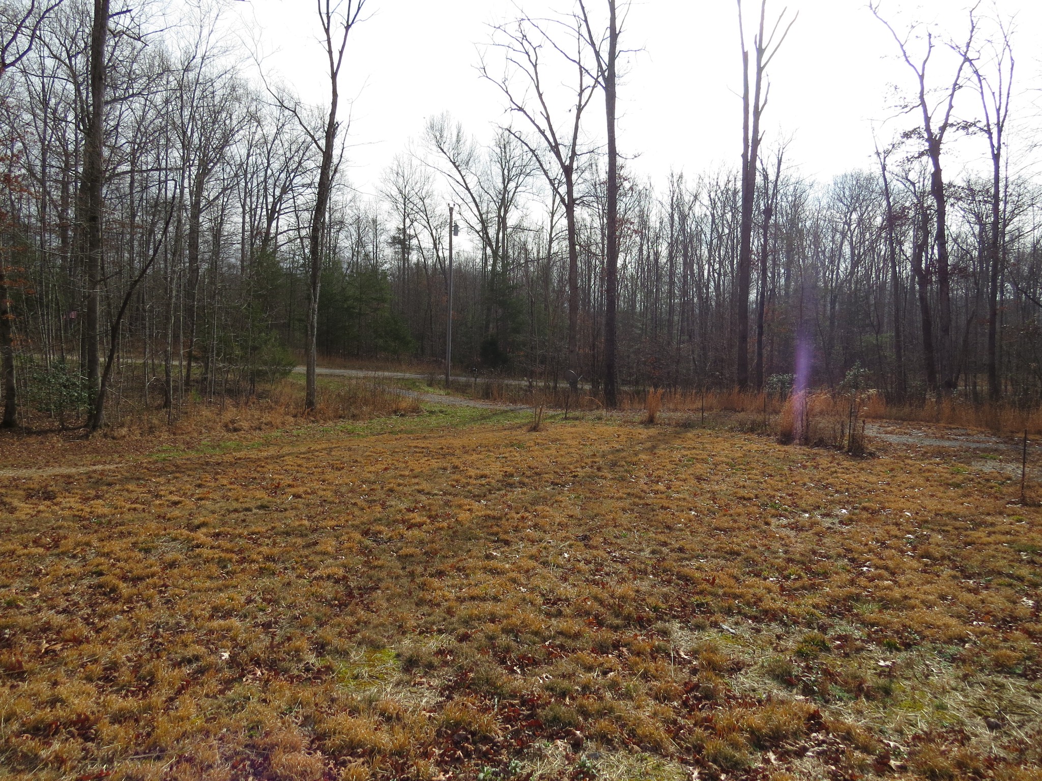 4345 Chapel Hill Road Crawford, TN 38554 - Photo 4 of 15 a backyard of a house with lots of green space