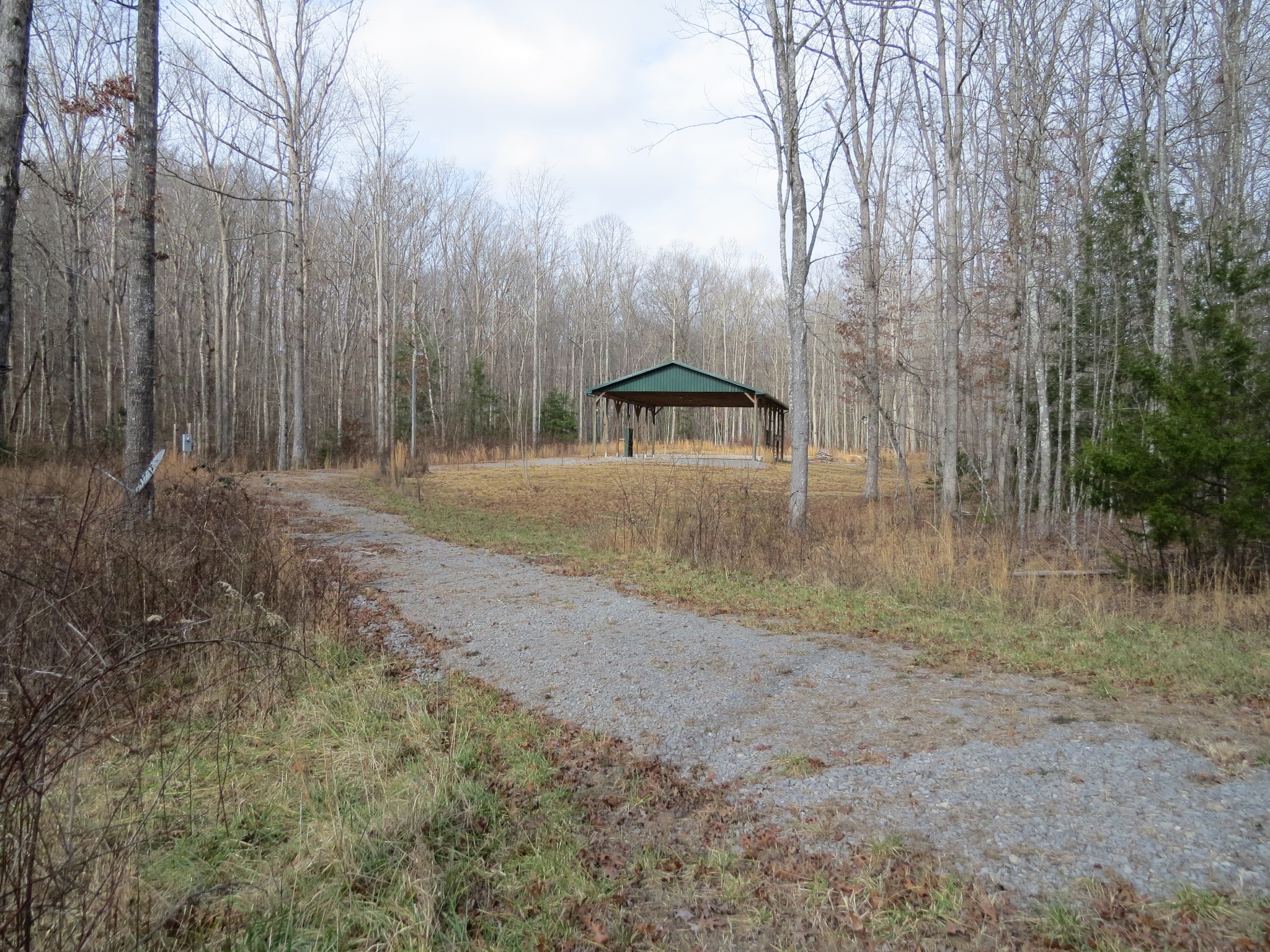 4345 Chapel Hill Road Crawford, TN 38554 - Photo 6 of 15 a view of a yard with trees