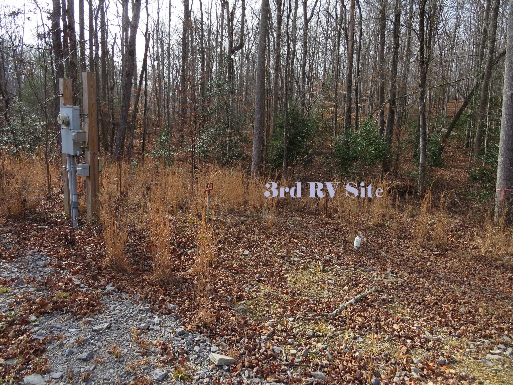 4345 Chapel Hill Road Crawford, TN 38554 - Photo 10 of 15 a view of backyard with green space