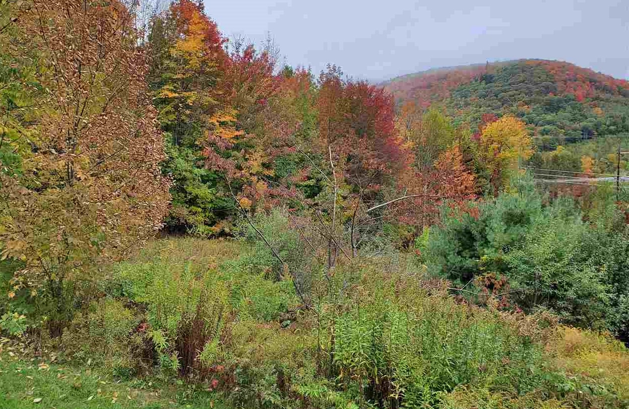 1036 Farrar Road, Unit 54 Andover, VT 05143 - Photo 9 of 10