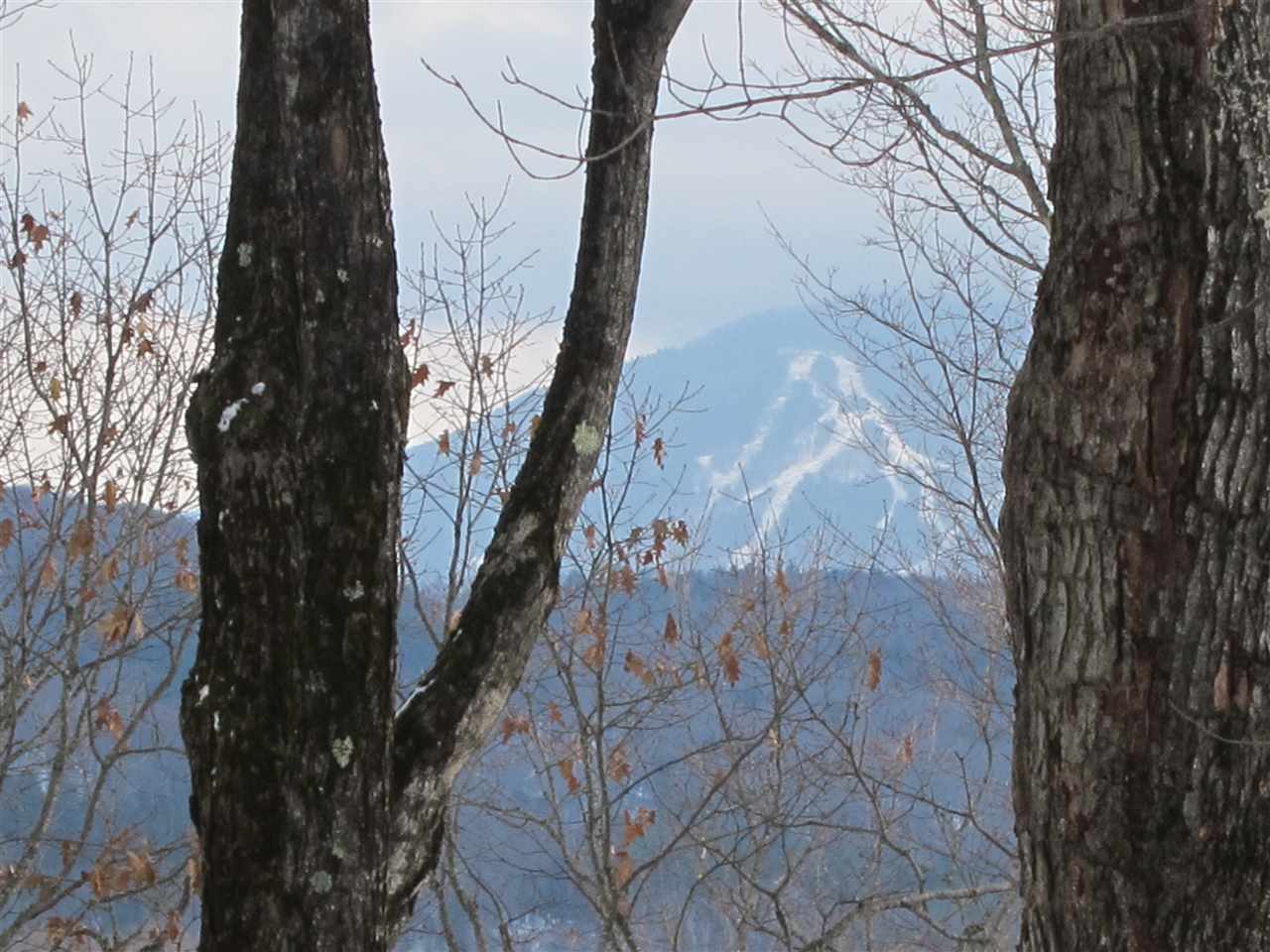 1009 Stone Chimney Road Reading, VT 05062 - Photo 1 of 23