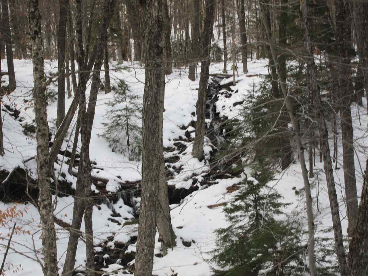 1009 Stone Chimney Road Reading, VT 05062 - Photo 13 of 23