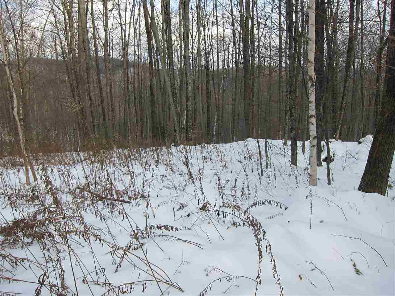 1009 Stone Chimney Road Reading, VT 05062 - Photo 18 of 23