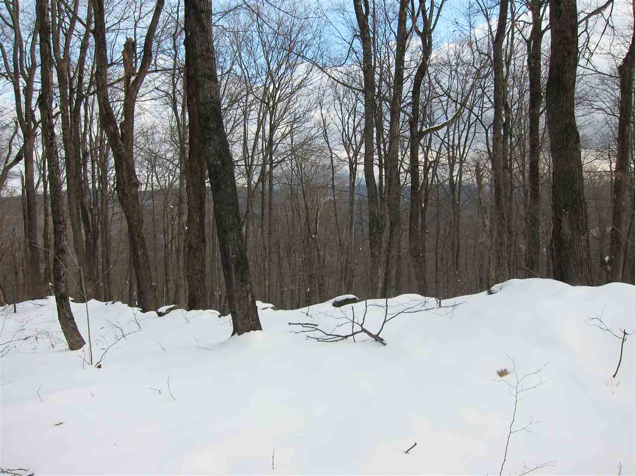 1009 Stone Chimney Road Reading, VT 05062 - Photo 20 of 23