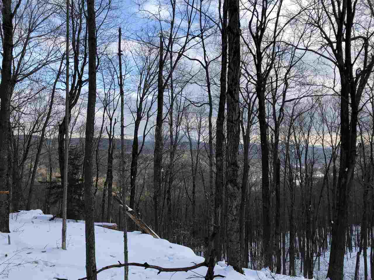 1009 Stone Chimney Road Reading, VT 05062 - Photo 3 of 23
