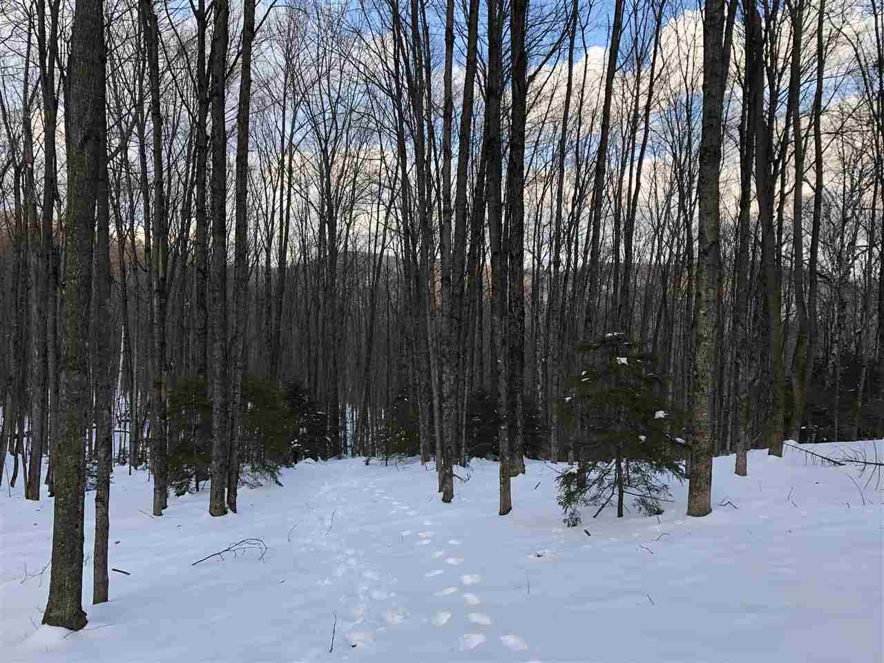 1009 Stone Chimney Road Reading, VT 05062 - Photo 21 of 23
