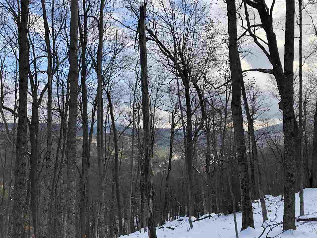 1009 Stone Chimney Road Reading, VT 05062 - Photo 4 of 23