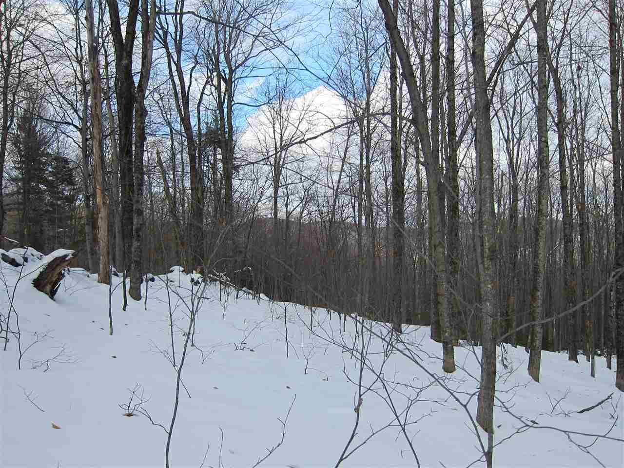 1009 Stone Chimney Road Reading, VT 05062 - Photo 5 of 23