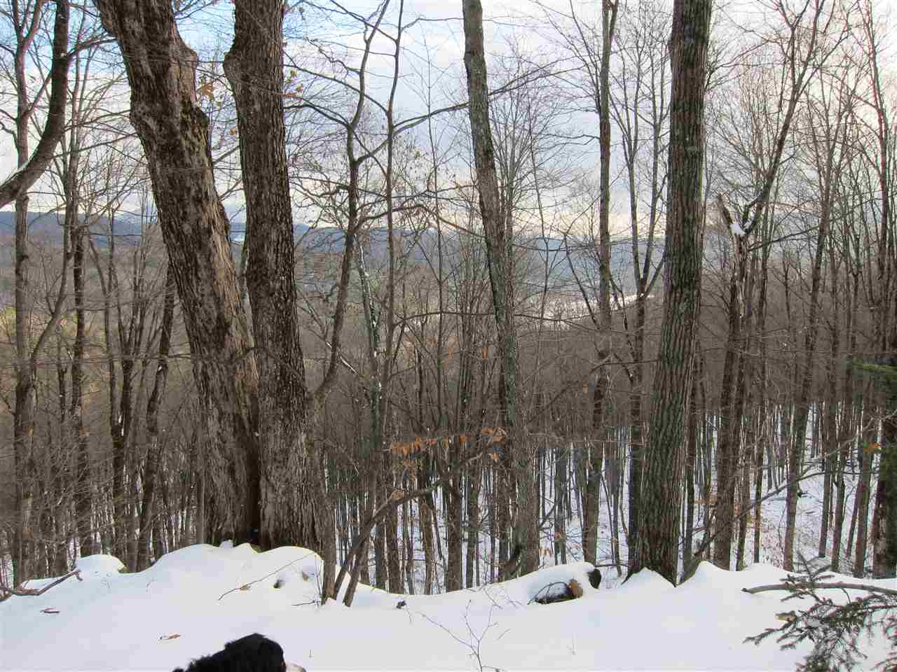 1009 Stone Chimney Road Reading, VT 05062 - Photo 6 of 23