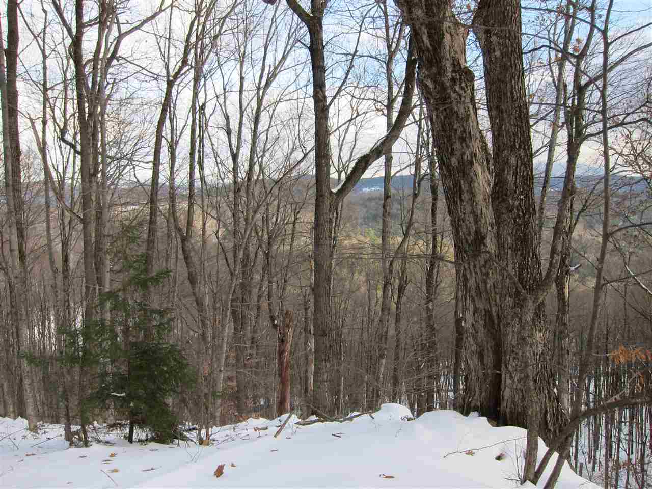 1009 Stone Chimney Road Reading, VT 05062 - Photo 7 of 23