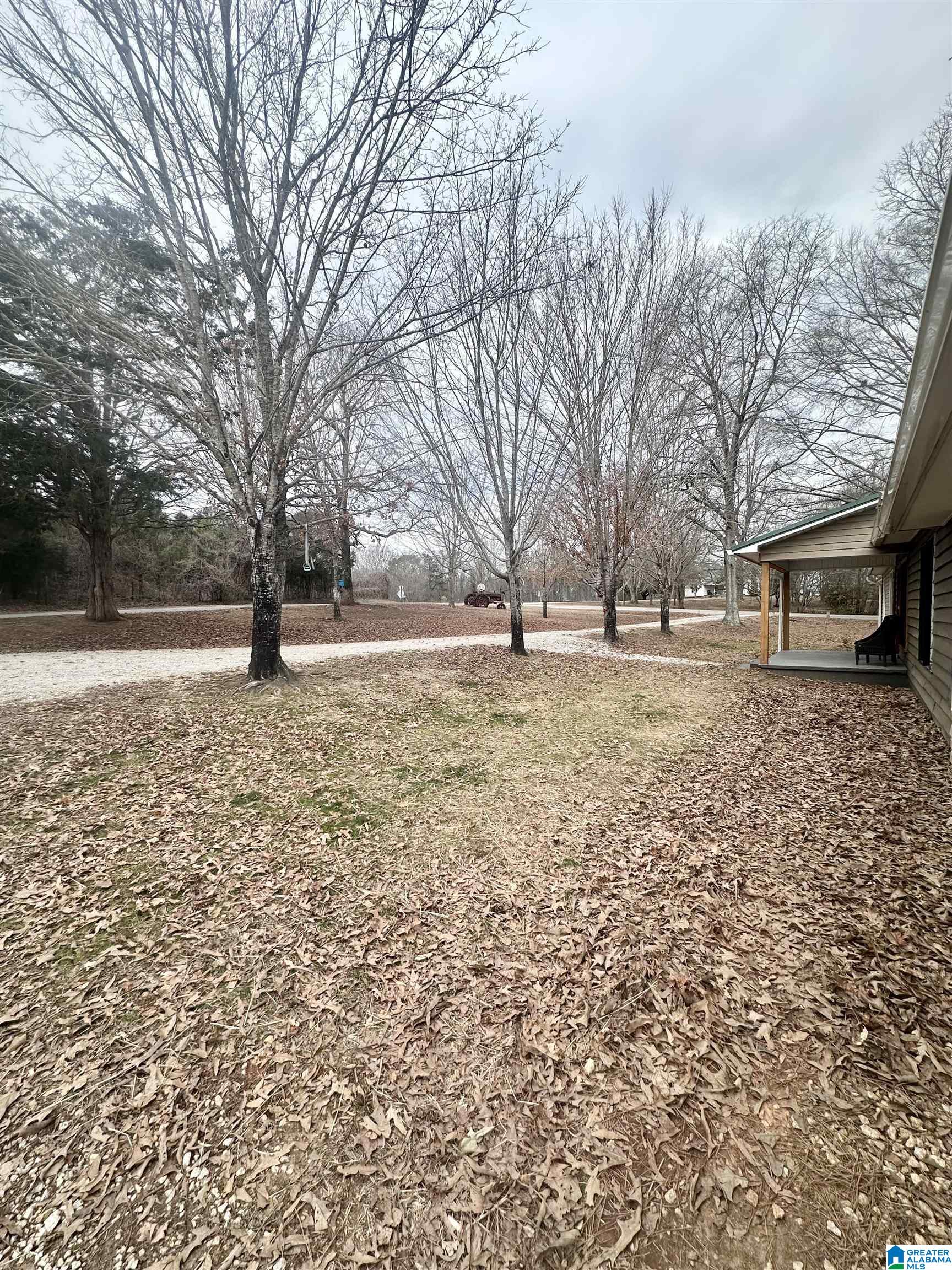 2102 County Road 609 Wedowee, AL 36278 - Photo 8 of 63