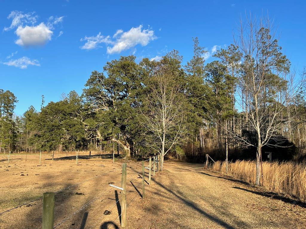 1370 Bachelor Hill Road Walterboro, SC 29488 - Photo 10 of 13 Gallery Image 10