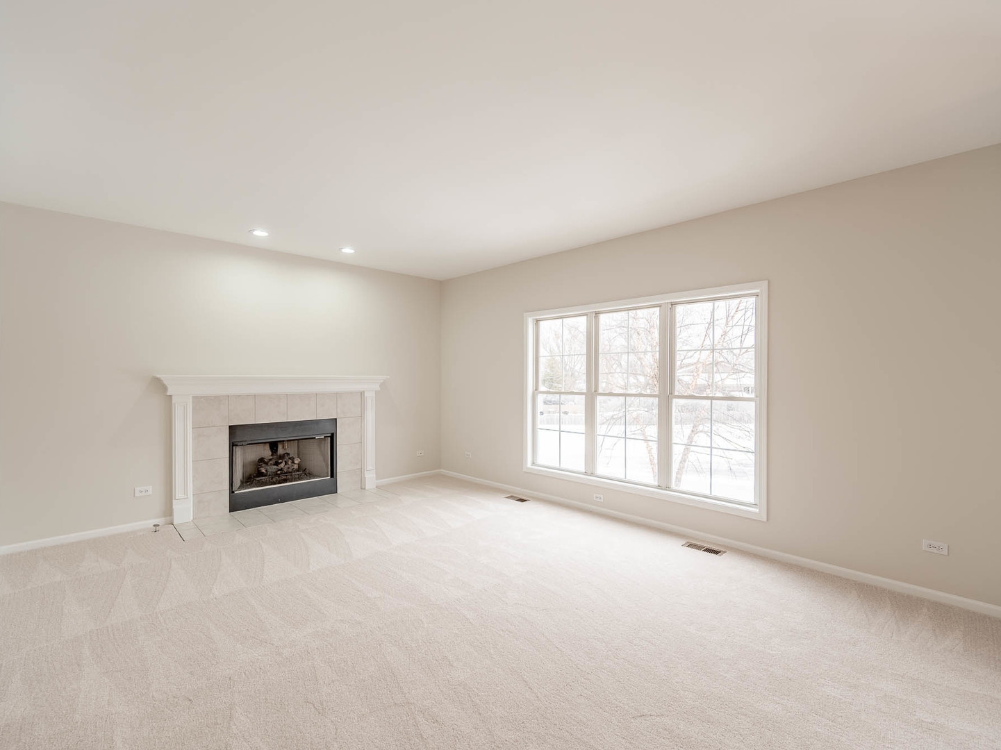 975 Merbach Court Carol Stream, IL 60188 - Photo 5 of 28 an empty room with fireplace and a window