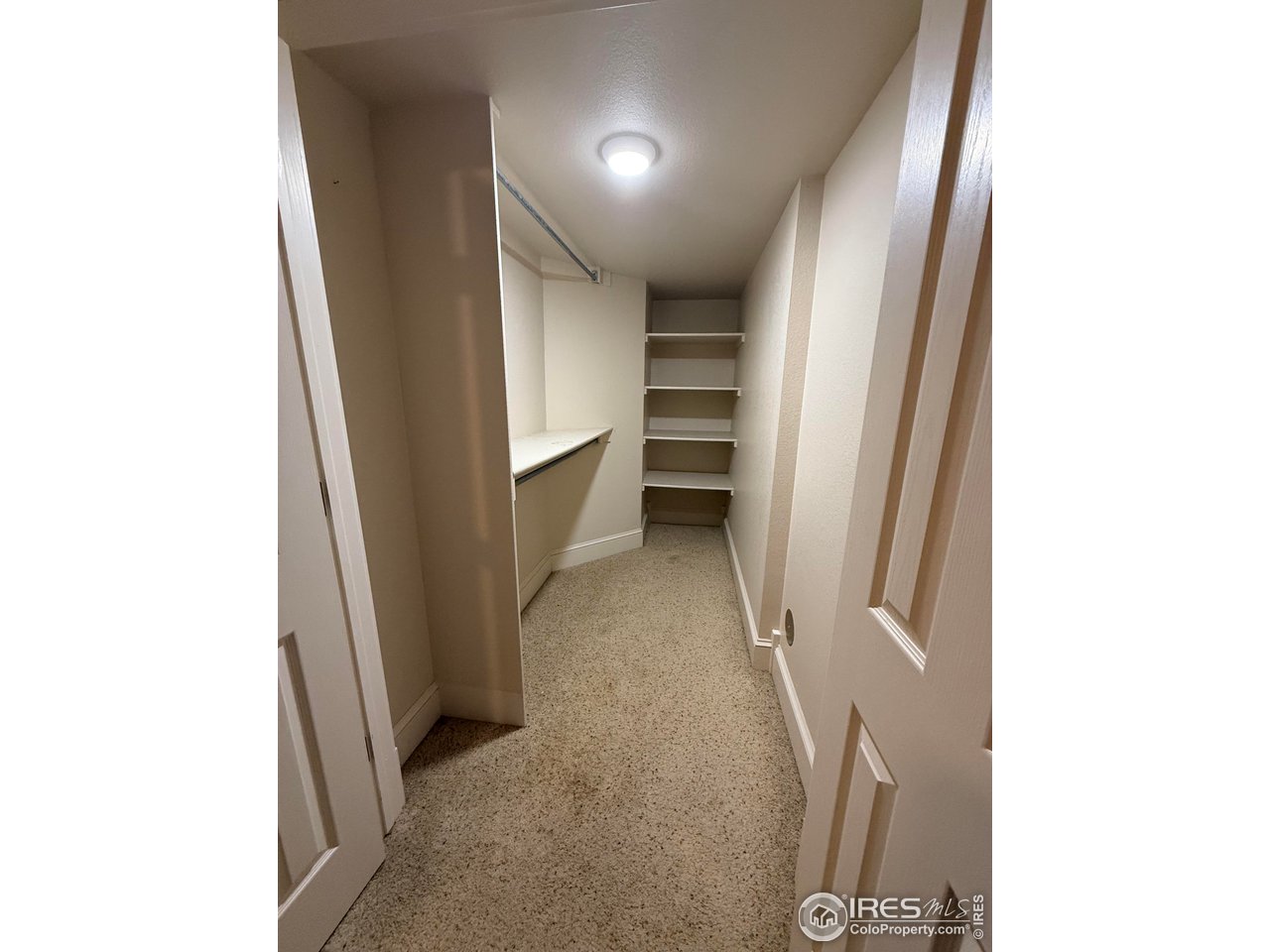 3016 68th Avenue Greeley, CO 80634 - Photo 18 of 21 Downstairs bedroom walk-in closet