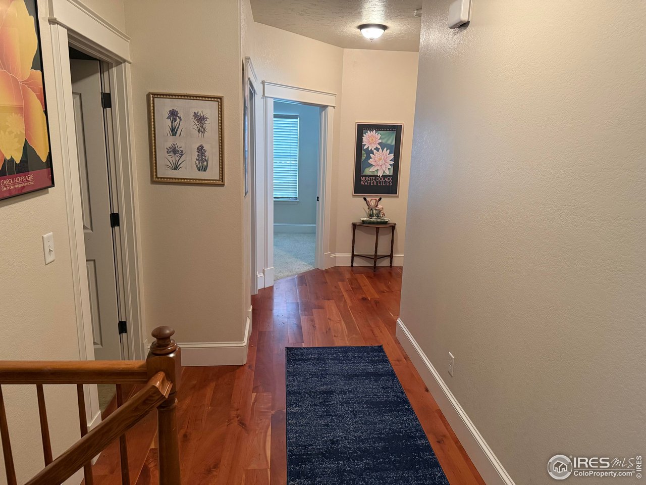 3016 68th Avenue Greeley, CO 80634 - Photo 7 of 21 Main level hallway view